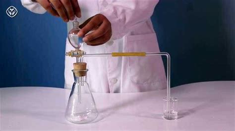 碳酸氢钠和碳酸的可逆反应